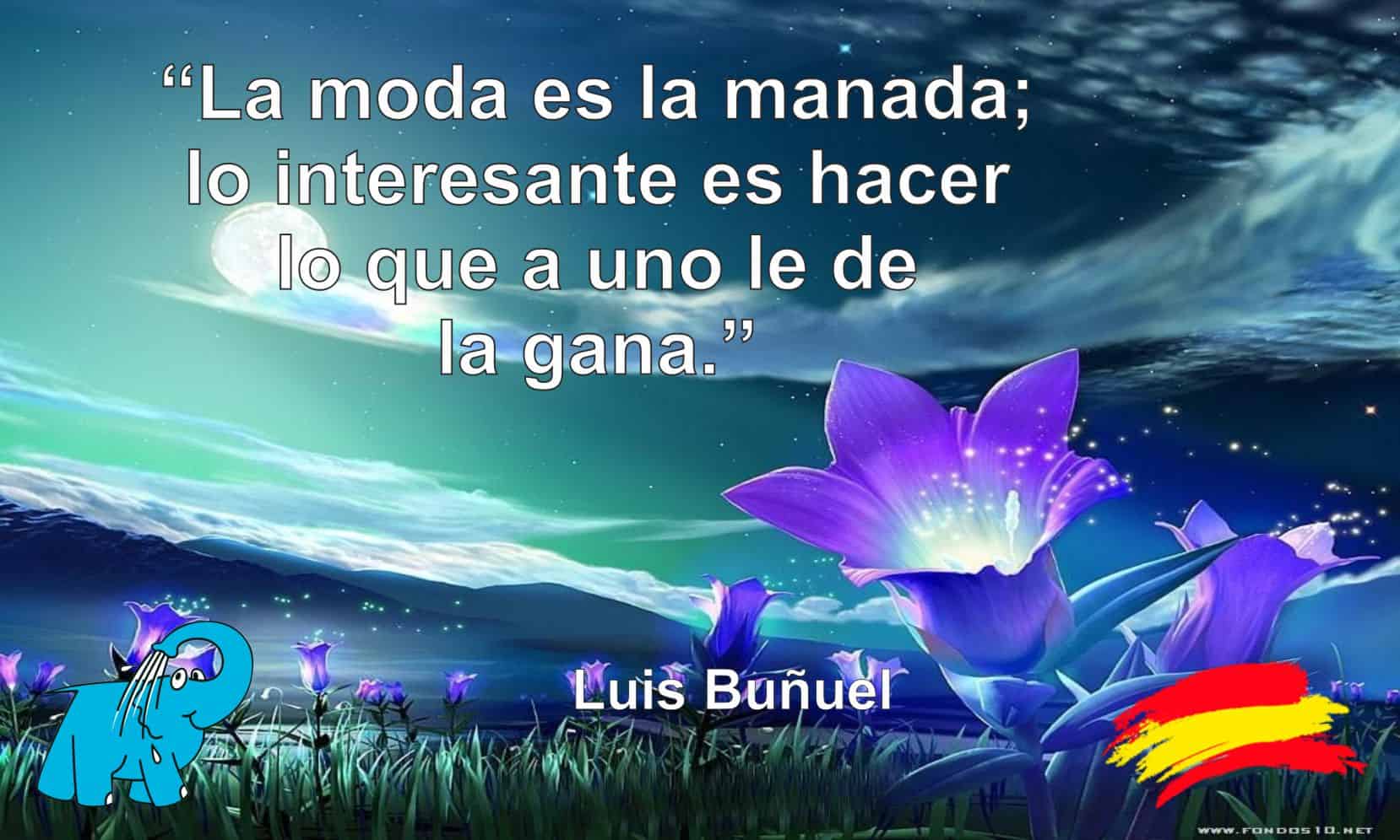 La moda es la manada; lo interesante es hacer lo que a uno le de la gana.